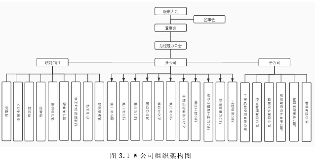 图 3.1 W 公司组织架构图