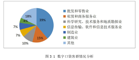 图 3.1 数字口袋客群情况分析