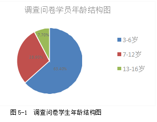 A教育培训公司乐高市场营销策略的研究和探讨学位论文