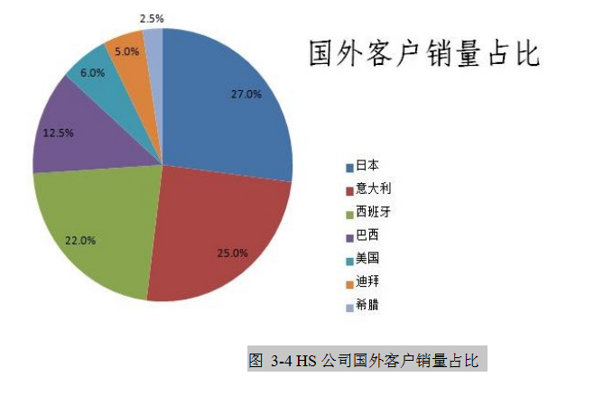 HS 公司论文,大客户论文,营销策略论文