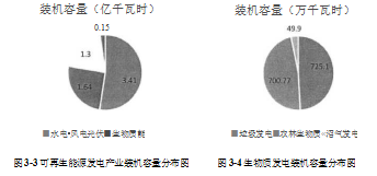 农林生物质发电论文,全面风险管理论文,NBE公司论文